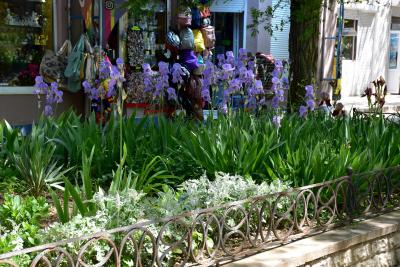 Прикрепленное изображение: 130.JPG